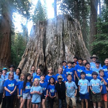 Fly Your Kite Camp - Fly Your Kite Summer Camp at Calvin Crest - Summer Camps Near Me - San Jose, California Fly Your Kite Camp - Fly Your Kite Summer Camp at Calvin Crest - Summer Camps Near Me - San Jose, California