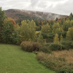 Beaver Pond Farm