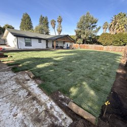 Budget Sprinkler Repair System - Fescue grass installation, almost there