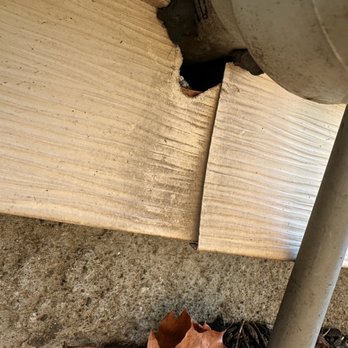 MB Pest Solutions - Entry point under electrical - Pest Control Near Me - Hampstead, New Hampshire MB Pest Solutions - Entry point under electrical - Pest Control Near Me - Hampstead, New Hampshire