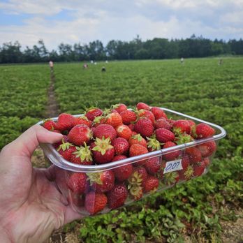 Barrie Hill Farms - Farmers Market Near Me - Springwater, Ontario Barrie Hill Farms - Farmers Market Near Me - Springwater, Ontario