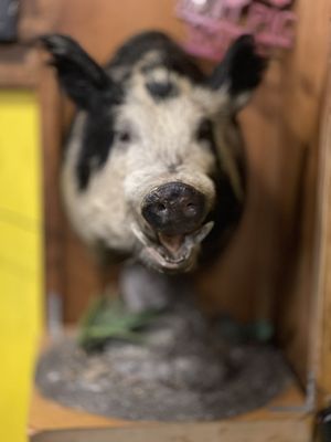 Rollin’ Smoke - Allegiant Stadium by null