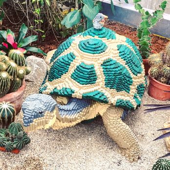Lauritzen Gardens - Galapagos tortoise - Venues & Event Spaces Near Me - Omaha, Nebraska Lauritzen Gardens - Galapagos tortoise - Venues & Event Spaces Near Me - Omaha, Nebraska