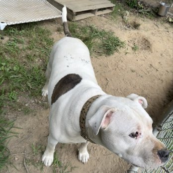 Exeter Animal Shelter - Animal Shelters Near Me - Exeter, Rhode Island