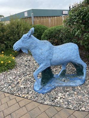 Blue Moose Bar & Grill by null