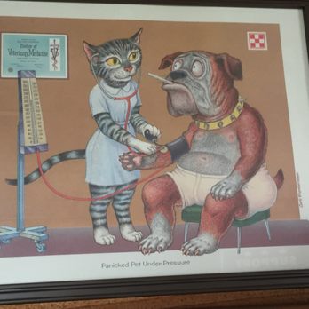 lincoln ave veterinary clinic