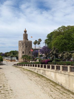 Torre del Oro by null