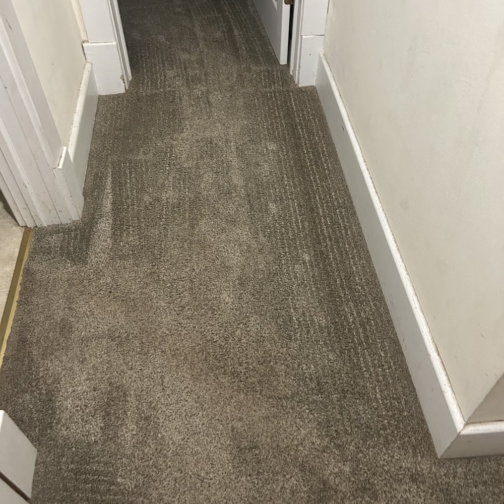 Steam Plus - It's that old! - Carpet Cleaning Near Me - Waunakee, Wisconsin Steam Plus - It's that old! - Carpet Cleaning Near Me - Waunakee, Wisconsin
