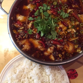 Dinastia Tang - Yum - Chinese Near Me - Florence, FI