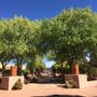 Photo of Santa Fe Community College