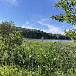 Independence Oaks County Park - Dass nice