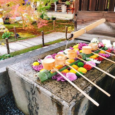Shōrin-ji Temple by null