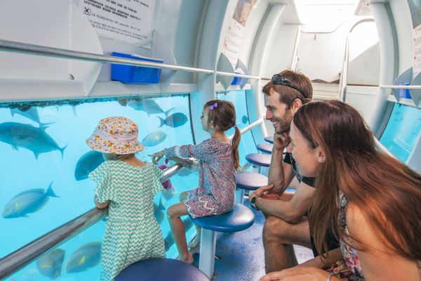 Sunlover Reef Cruises by null