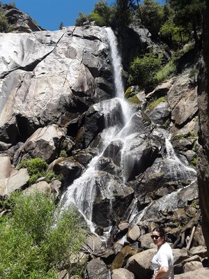 Grizzly Falls Picnic Area by null