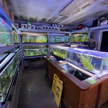 Rosemead Aquarium - Inside - Pet Stores Near Me - Rosemead, California