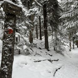 High Peaks Cyclery - Trail marker