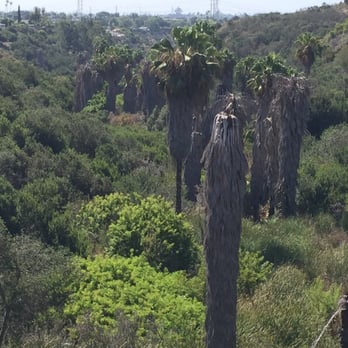 Ruffin Canyon Open Space - Hiking Near Me - San Diego, California