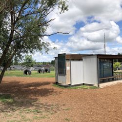 Moscow Off Leash Dog Park