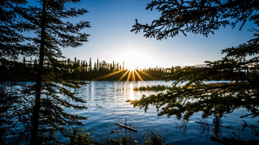 GALLERY LODGE 12 Photos 22536 Terrace Dr / 898, Kasilof, AK Yelp