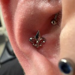 Hermosa Ink Collective - Fleur de Lei jewelry placed in a conch piercing by @piercerbrandon