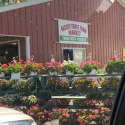 Glossy Fruit Farms