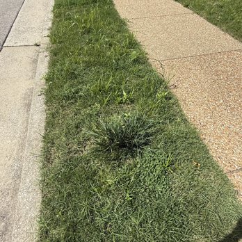 Quigley's Landscaping - Landscaping Near Me