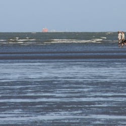 Suttons Beach