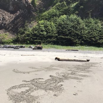 Cape Disappointment State Park - Parks Near Me - Ilwaco, Washington