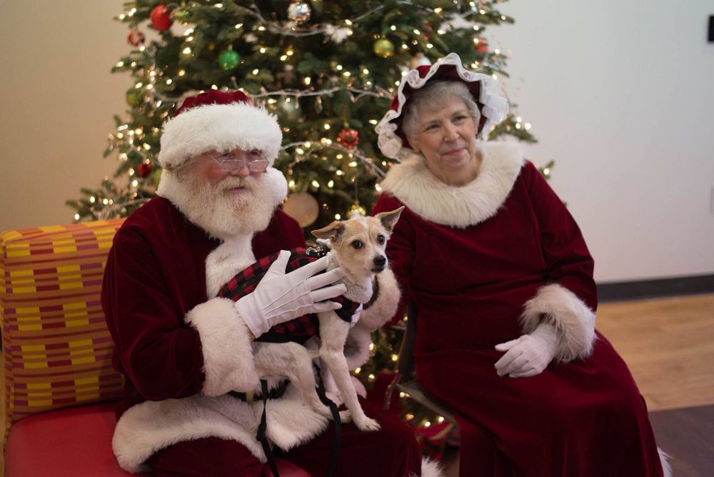 CENTRAL ARTS OF BEDFORD 75 Photos 2816 Central Dr 170 Bedford TX 