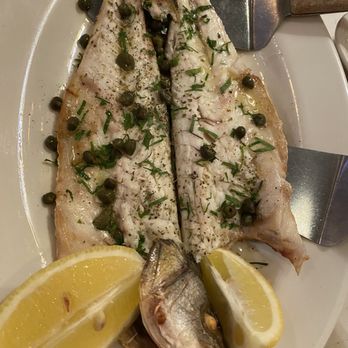 Korali Estiatorio - Lavraki ( Branzino) - Greek Near Me - New York, New York Korali Estiatorio - Lavraki ( Branzino) - Greek Near Me - New York, New York