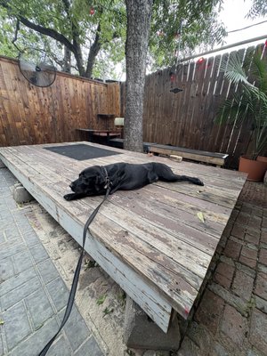 Tweedy's Bar by null