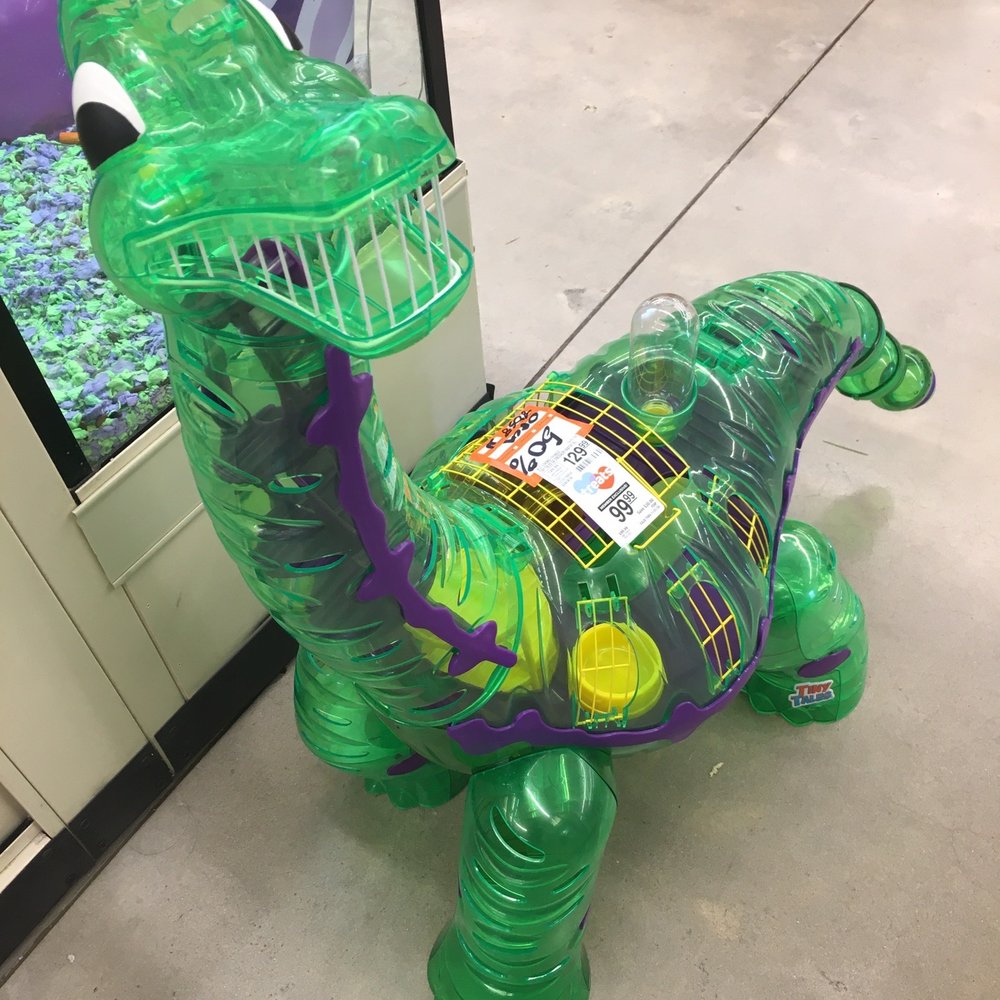 PetSmart - Cool Hamster Habitat - Pet Training Near Me - Orlando, Florida PetSmart - Cool Hamster Habitat - Pet Training Near Me - Orlando, Florida