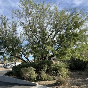 Schilling Horticulture Group - Landscaping Near Me - Las Vegas, Nevada