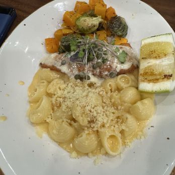 Sprout Cafe - Salmon, Mac and Brussel Sprouts - Sandwiches Near Me - Palo Alto, California Sprout Cafe - Salmon, Mac and Brussel Sprouts - Sandwiches Near Me - Palo Alto, California