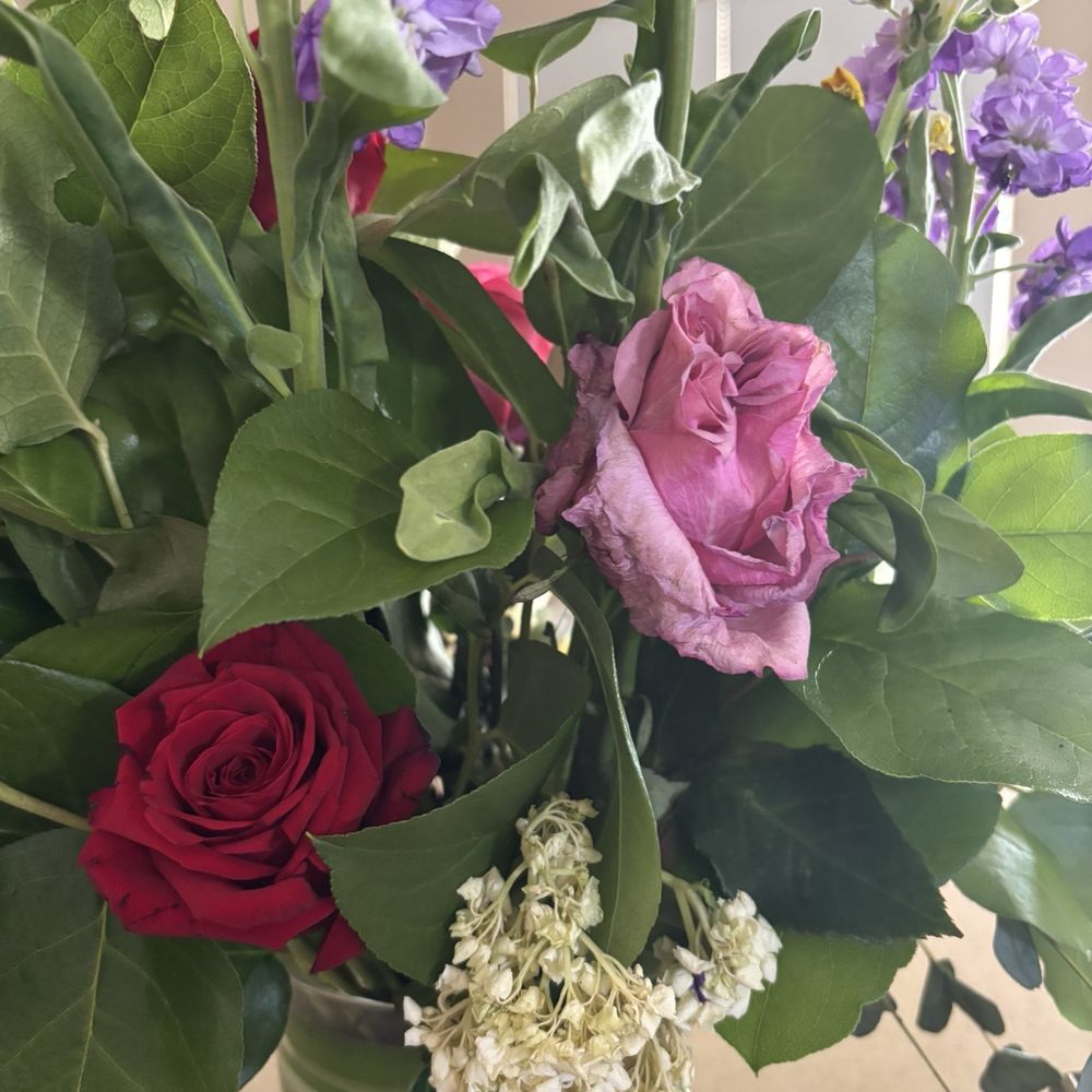 Infinity Floral Design - Monday Morning - Florists Near Me - Surprise, Arizona Infinity Floral Design - Monday Morning - Florists Near Me - Surprise, Arizona