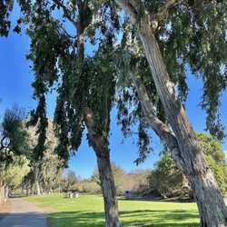 Cook Park La Novia Field - Trail