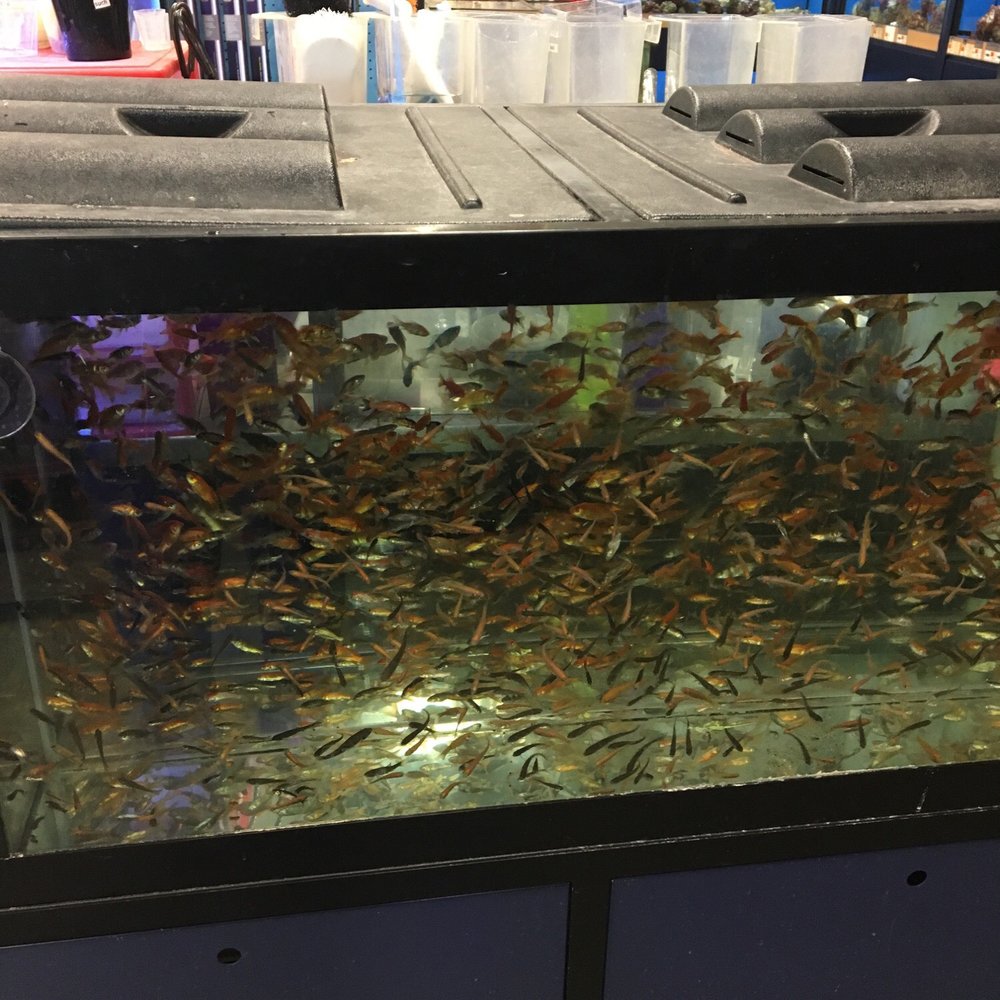 Petco - Pet Stores Near Me - Raritan, New Jersey