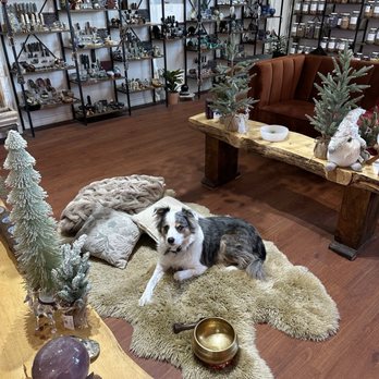 Lumin Earth Apothecary - Marley - Herbal Shops Near Me - Morro Bay, California Lumin Earth Apothecary - Marley - Herbal Shops Near Me - Morro Bay, California