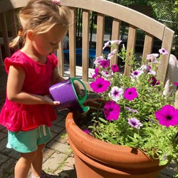 Montessori Children's House of North Barrington