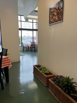 Susy's Kitchen by null