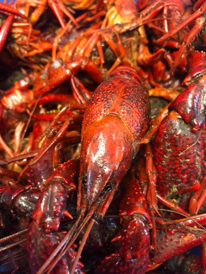 B & B Crawfish Logo