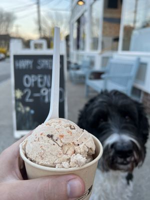 Willard Scoops by null