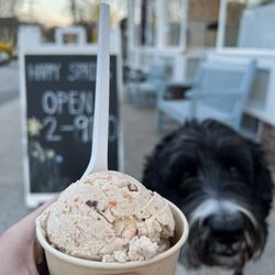 Willard Scoops