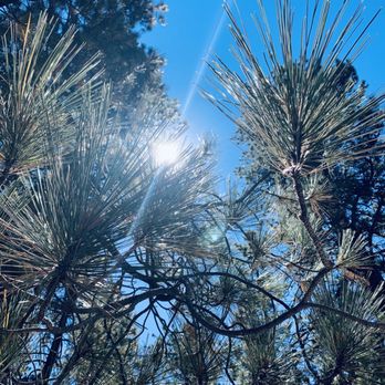 Grey Squirrel Resort & Vacation Rental Homes - Gods grace above - Big Bear Lake, CA