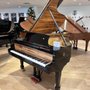 Photo of Steinway Piano Gallery - Clearwater