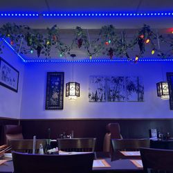 Panda Palace - Strange blue LED lights