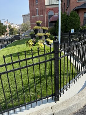 Cathedral of Our Lady of Lourdes by null
