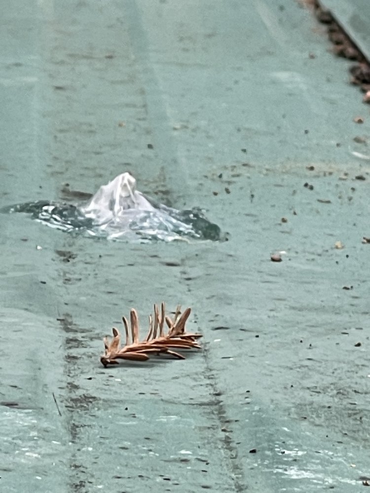 Slide of Shelton Roofing