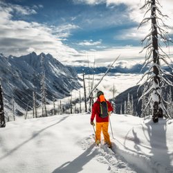 Chatter Creek Mountain Lodges - Chatter Creek Mountain Lodges located in the Canadian Rockies.