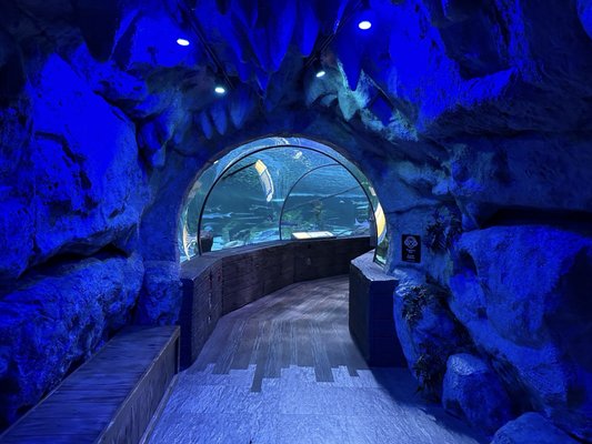 SEA LIFE at Mall of America by null